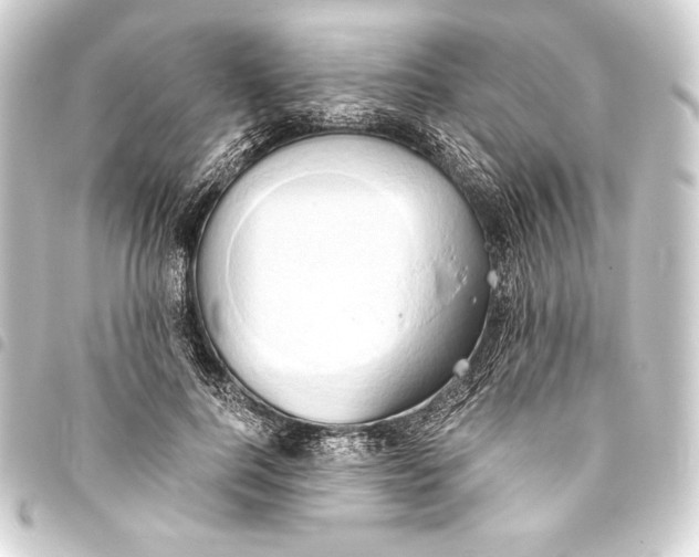 X0000093410744200711020955