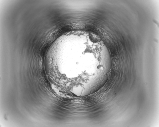 X0000093410745200711020955