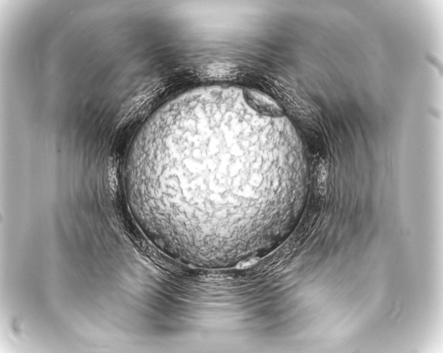 X0000093410746200711020955