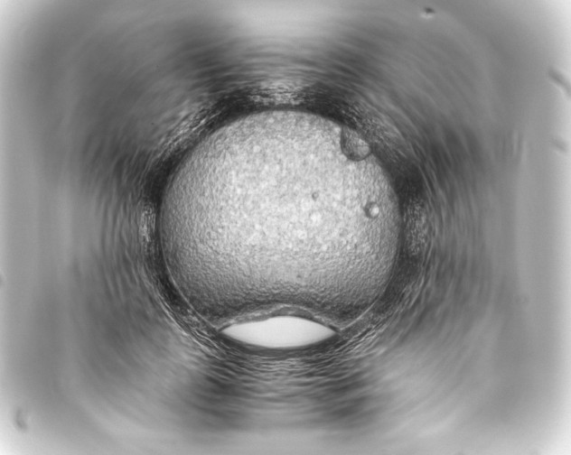 X0000093410747200711020955