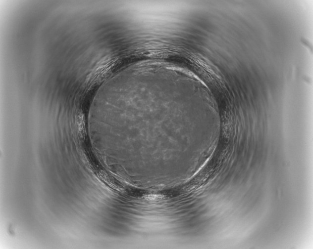 X0000093410748200711020955