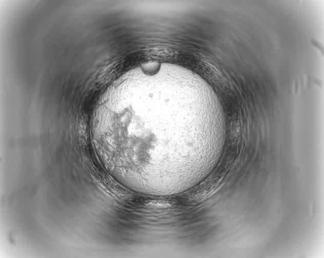 X0000093410749200711020955