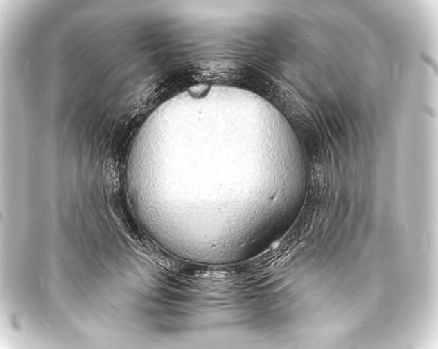 X0000093410751200711020955