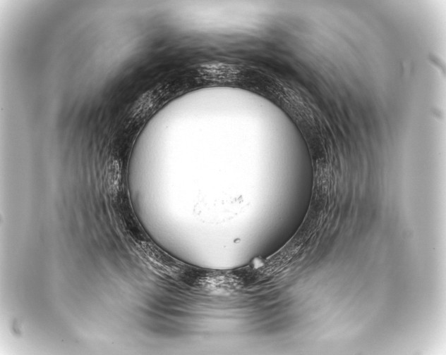 X0000093410752200711020955