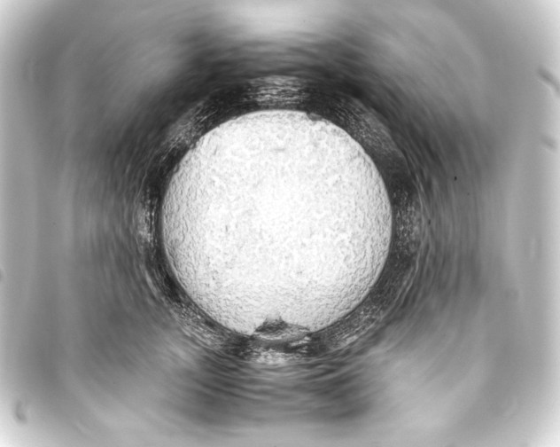 X0000093410755200711020955