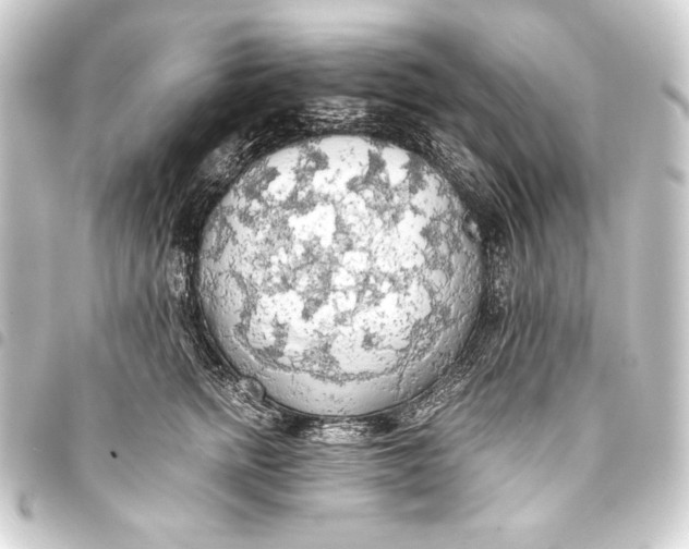 X0000093410758200711020955