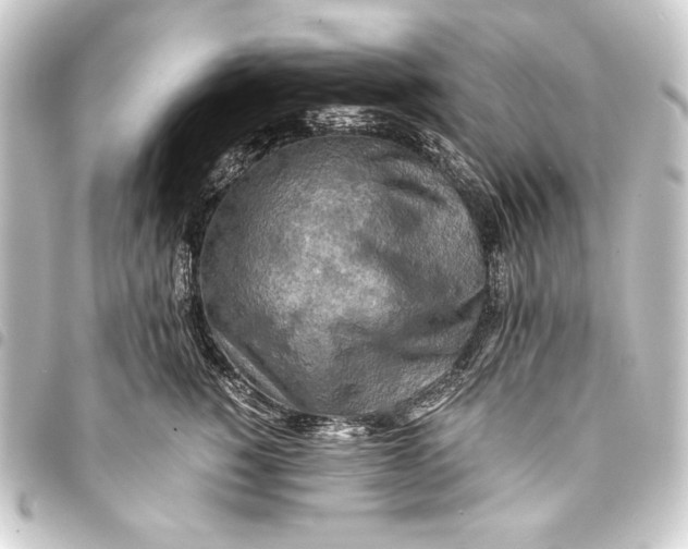 X0000093410760200711020955