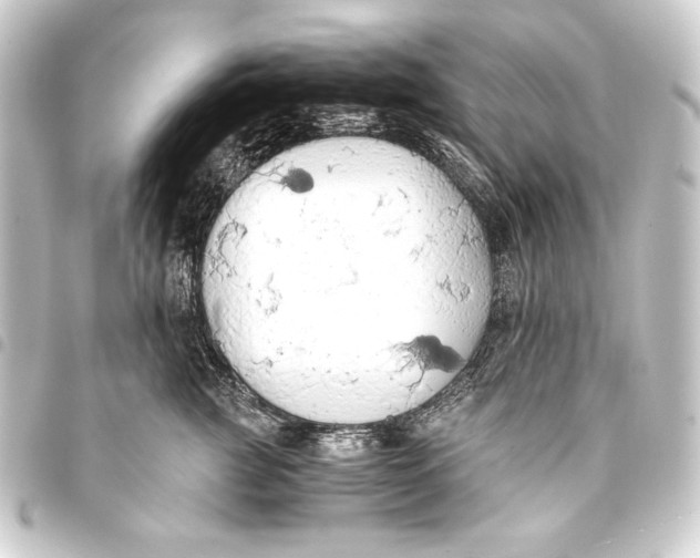 X0000093410761200711020955