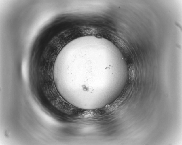 X0000093410764200711020955