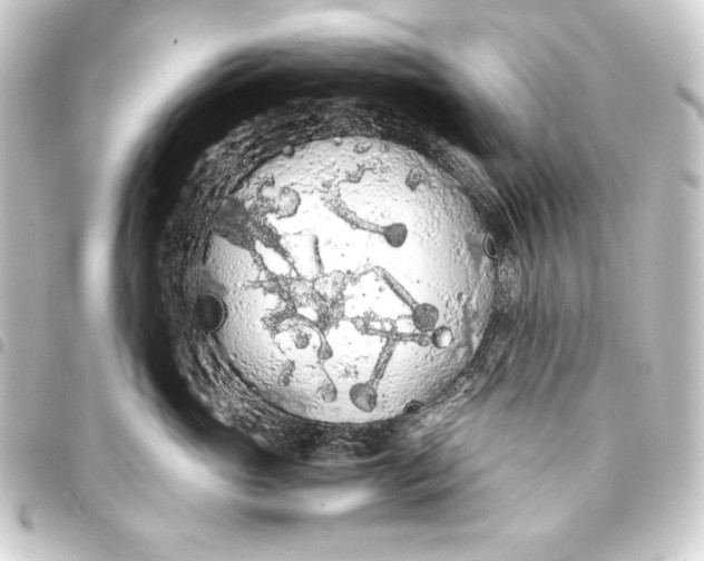 X0000093410765200711020955