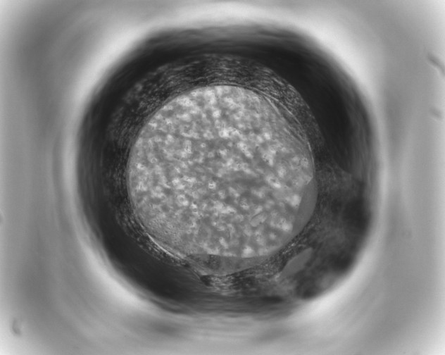 X0000093410766200711020955