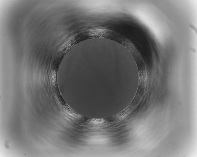 X0000093410767200711020955