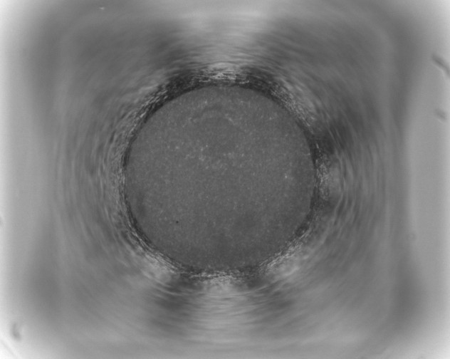 X0000093410769200711020954