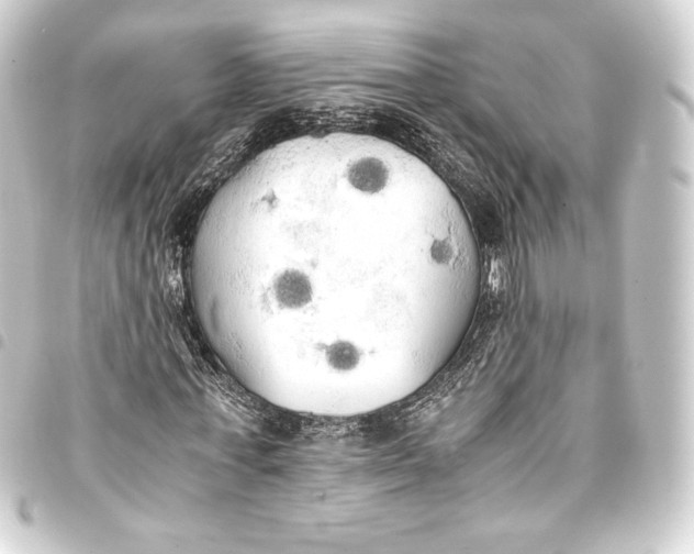 X0000093410771200711020954