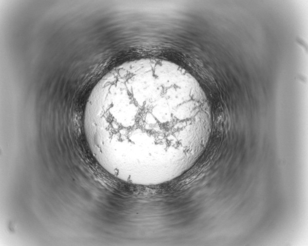 X0000093410772200711020954