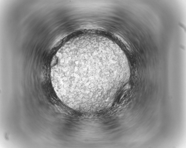 X0000093410775200711020954