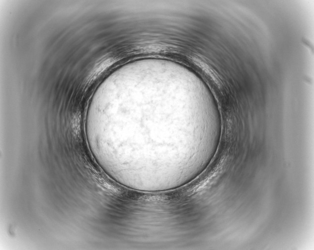 X0000093410778200711020954