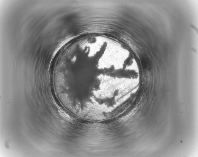 X0000093410779200711020954