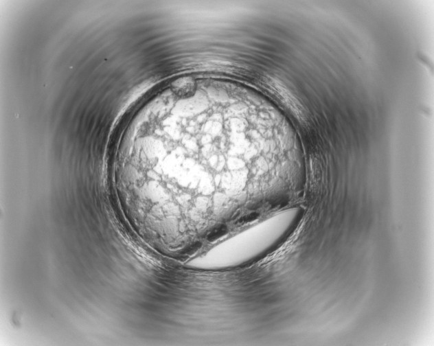 X0000093410780200711020954