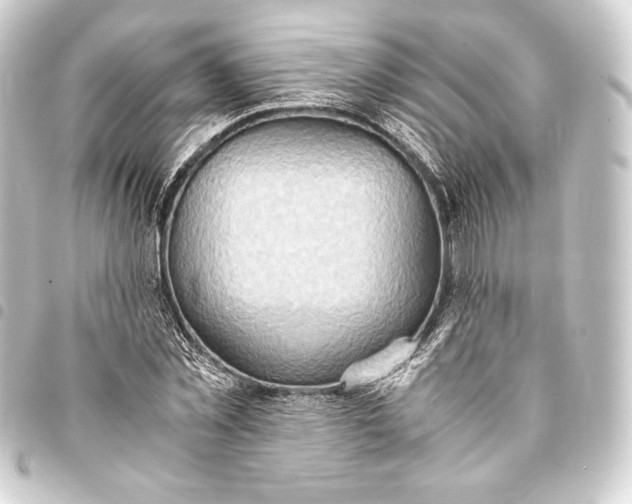 X0000093410781200711020954