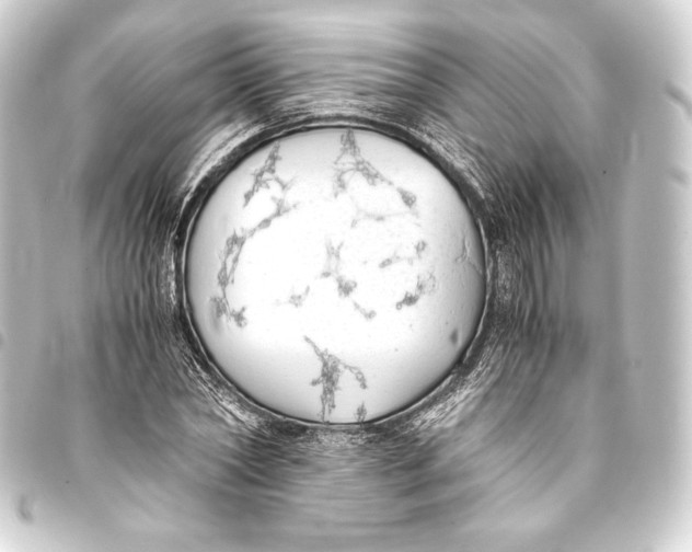 X0000093410782200711020954