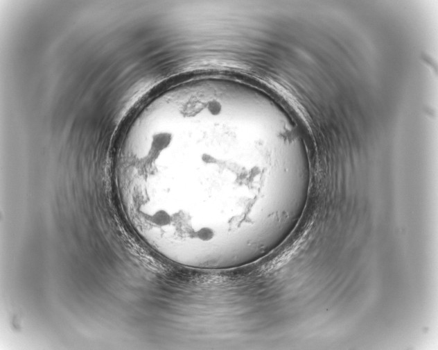 X0000093410783200711020954