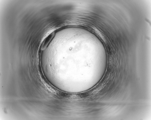 X0000093410787200711020954