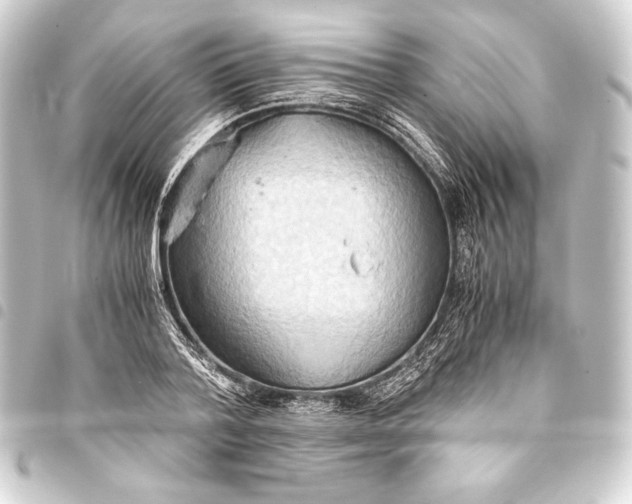 X0000093410788200711020954