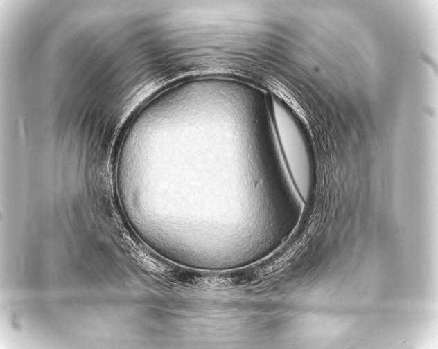 X0000093410789200711020954