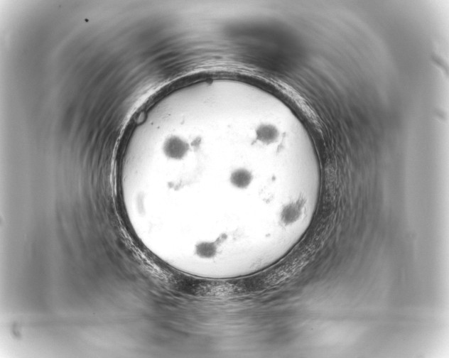 X0000093410791200711020954