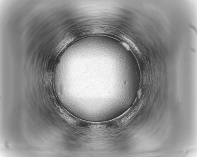 X0000093410793200711020954