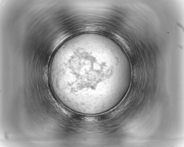 X0000093410794200711020954