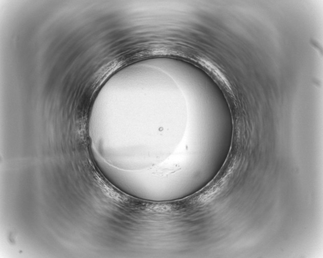 X0000093410801200711020954