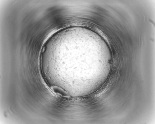 X0000093410803200711020954