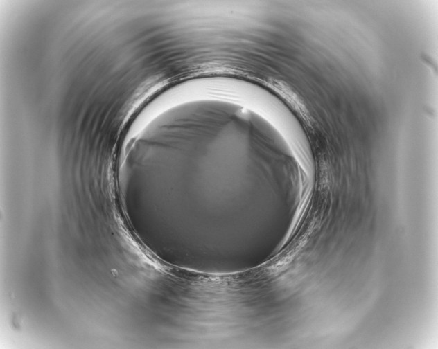 X0000093410806200711020954