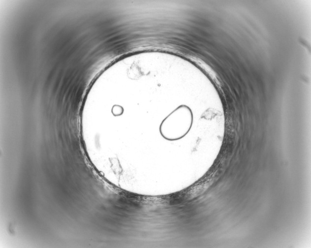 X0000093410807200711020954