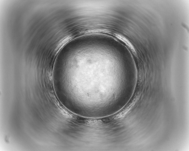 X0000093410809200711020954