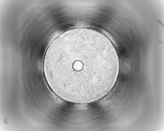 X0000093410810200711020954