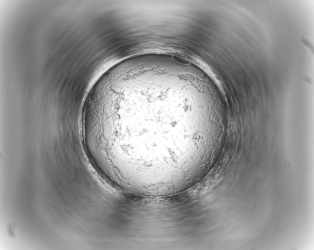 X0000093410811200711020954