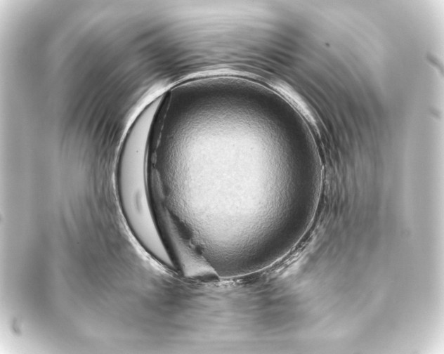 X0000093410813200711020954