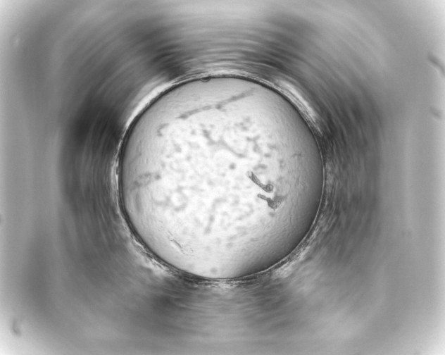 X0000093410814200711020954