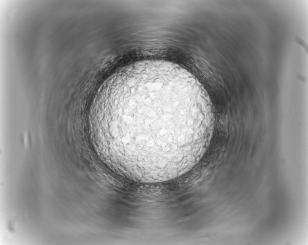 X0000093410817200711020953