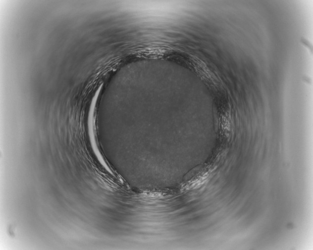 X0000093410818200711020953