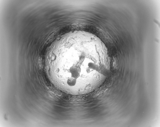 X0000093410819200711020953