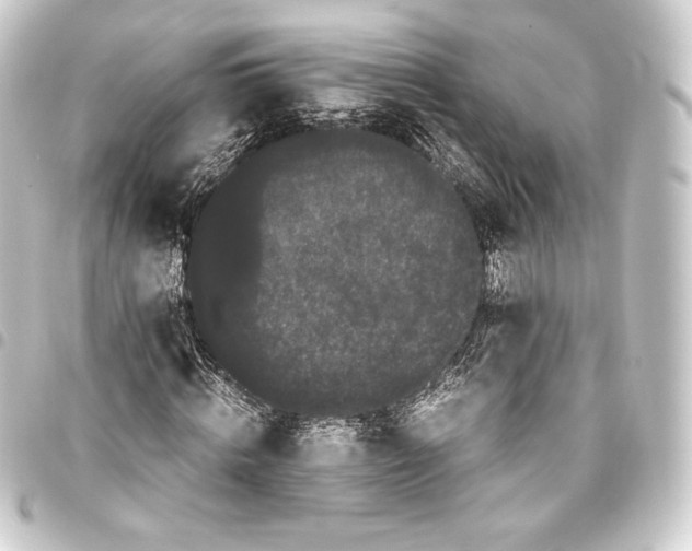 X0000093410820200711020953