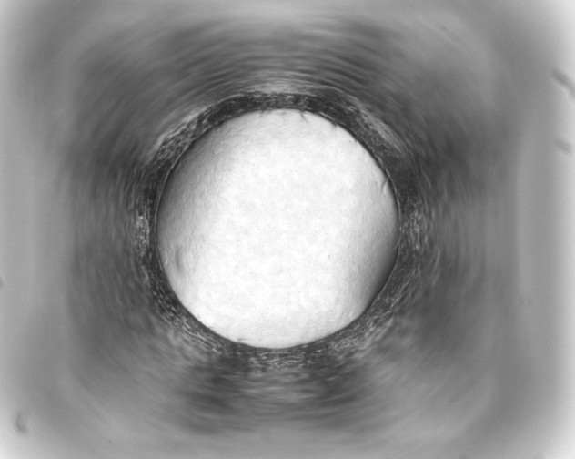 X0000093410821200711020953