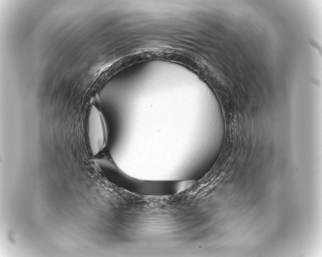 X0000093410822200711020953