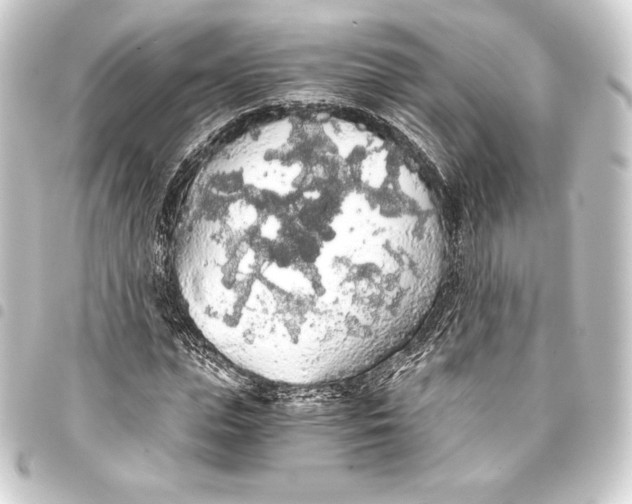 X0000093410823200711020953