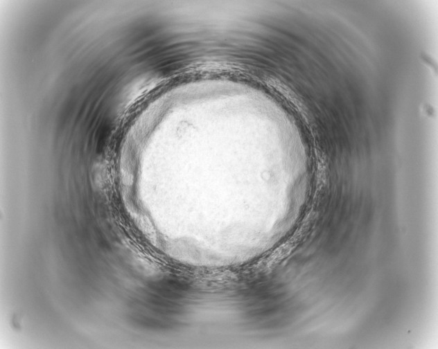 X0000093410824200711020953