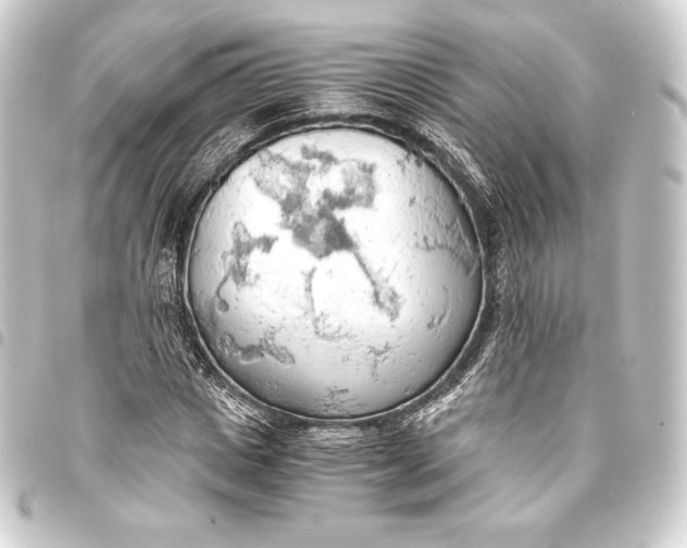 X0000093410825200711020953